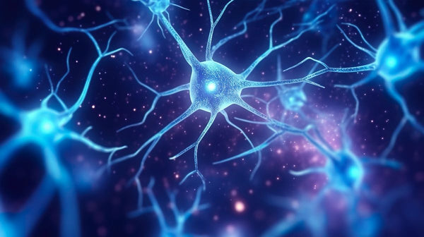 Terapia Neural